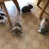 れいわお母さんと一緒に、部屋んぽ中です。