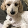 タグ付いています❣️