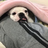 雪だるまママ
