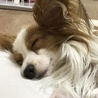 Qoo0404さん
