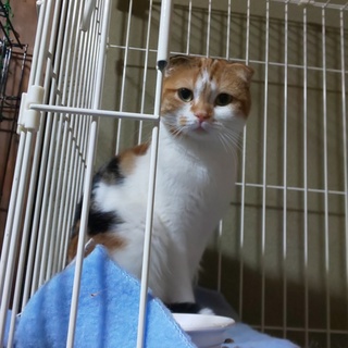 ものすごくマイペース