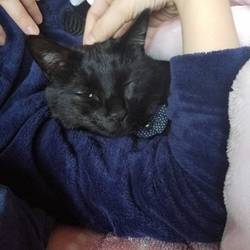 「腕枕ジジちゃん」サムネイル2