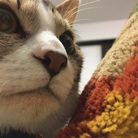 りゅうのすけ