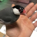急募、里親募集中！