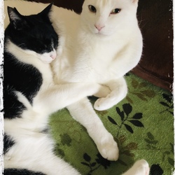 良いお年をお迎えください