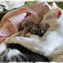 「良いお年をお迎えください」サムネイル2