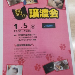 子猫から成猫まで可愛い猫さんの譲渡会！