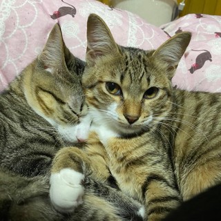 パワフルな女の子、ナイスちゃん♪