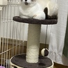 の写真