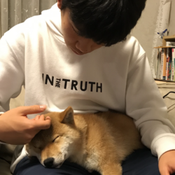 癒しの時間