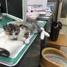 の写真
