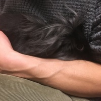 ルリヲ