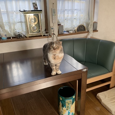 ちょっとだけお留守番お願いします