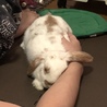 動物にも心はあるよ