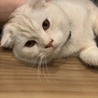 ナデナデ大好き⭐︎