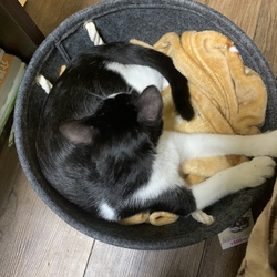 楓くんのその後