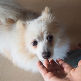 お茶目な「玄」くん♡