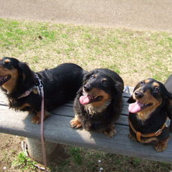 去年も。今年も。そして、来年も。