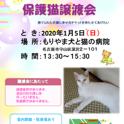 2020年1月5日もりやま犬と猫の病院譲渡会