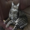 の写真