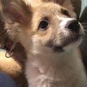 みずほ　chan❤️３ヶ月