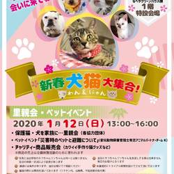 入間ショッピングプラザサイオス犬猫里親会＆写真展＆グッズ販売