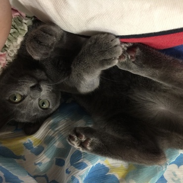 の写真