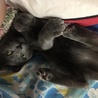 の写真