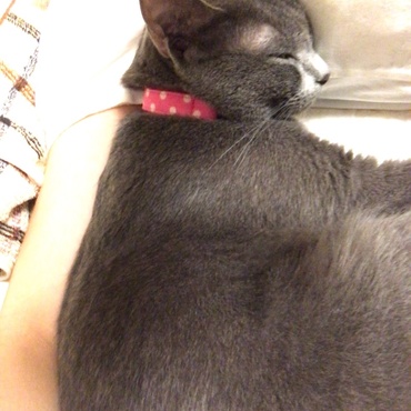 の写真