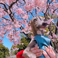 ミシェル