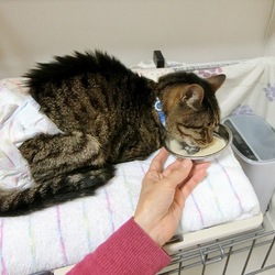 最後のお世話（備忘録）