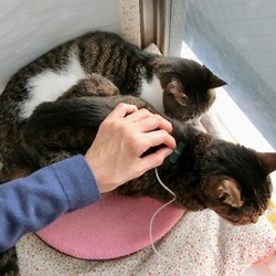 「最後のお世話（備忘録）」サムネイル2