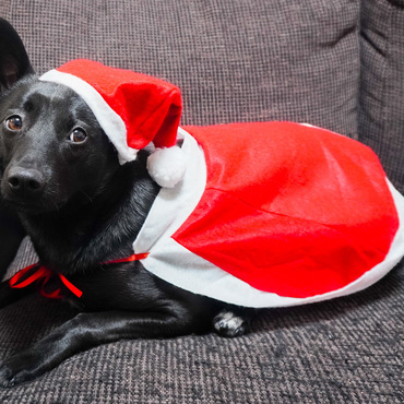 赤もめちゃくちゃ似合うねえ！