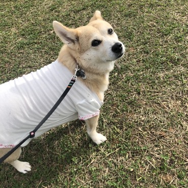 来年も元気に楽しく過ごそうね☆