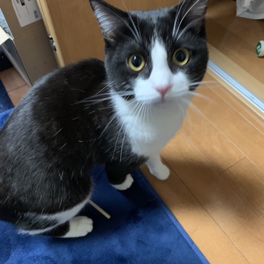 見てルーク