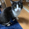 見てルーク