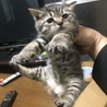 (ケンジロウ)