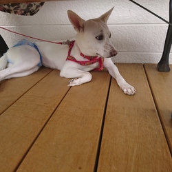 「2020年  一歳」サムネイル2