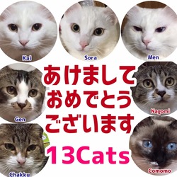 今年も13匹が健康で幸せに暮らせますように✨