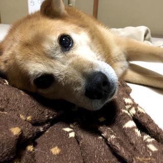 病気に負けず！甘えん坊なまさはるくん