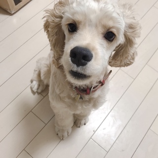 人懐っこい男の子！