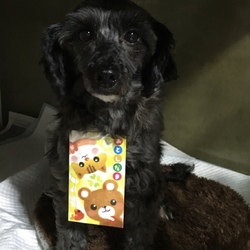 今年もよろしくお願いします(o^^o)