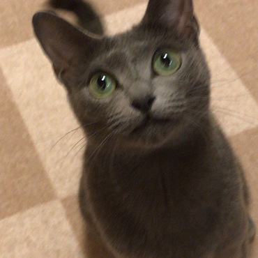 アナスタシアの写真
