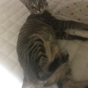 の写真