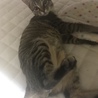 の写真