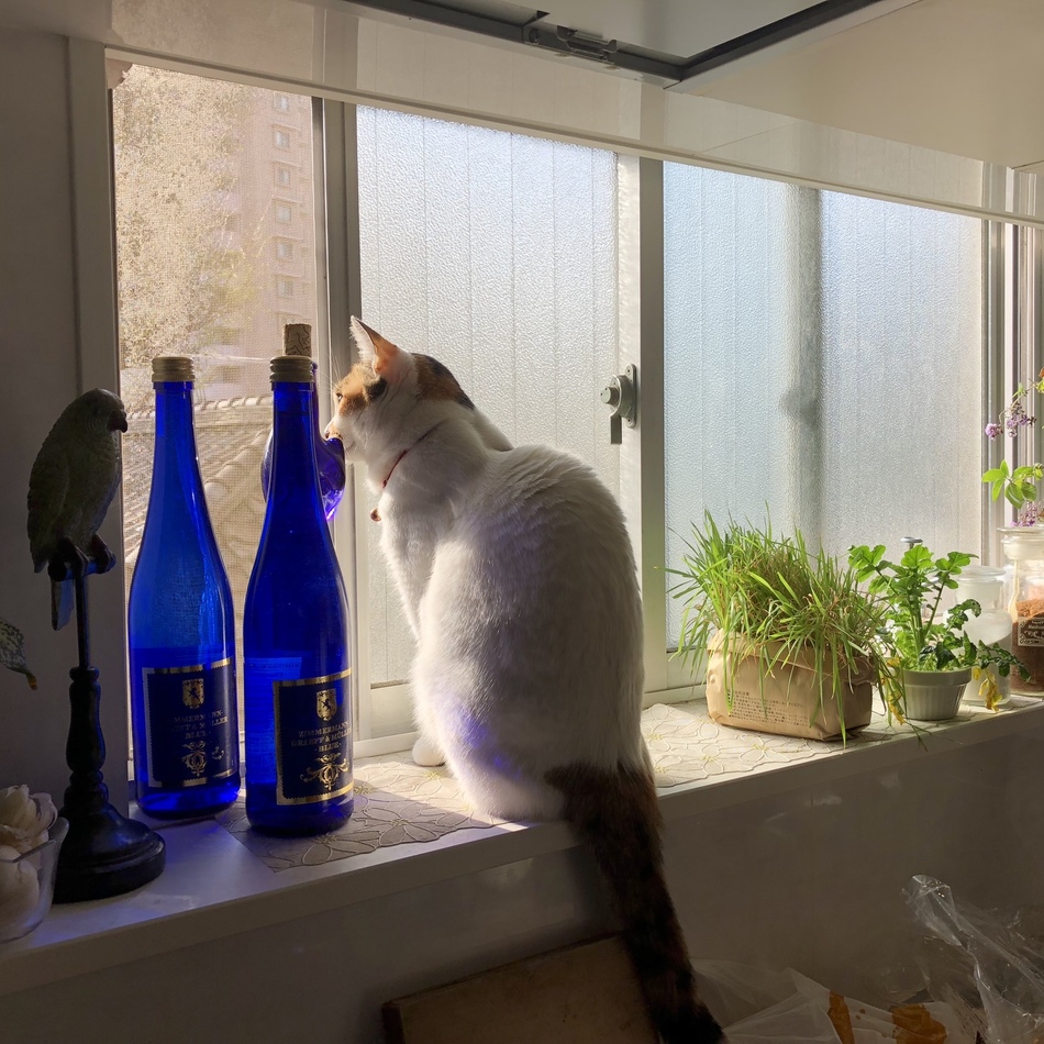 Kuuのカバー写真