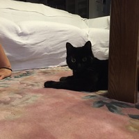 うめ
