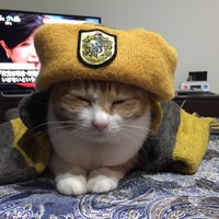 さくら