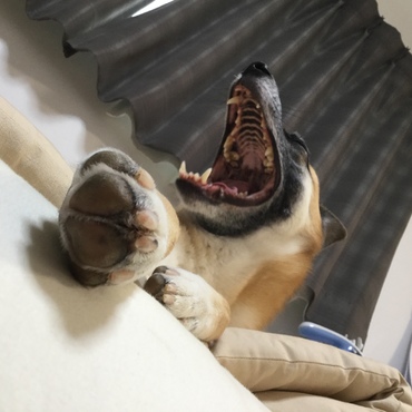 お疲れ
