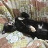 の写真